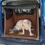 Hundebox Kofferraum für große Hunde wie den Hovawart