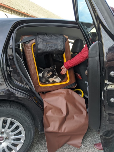 Hundebox für den Rücksitz für große Hunde wie den Hovawart oder Schäferhund Hundebox für den Rücksitz für große Hunde wie den Hovawart oder Schäferhund