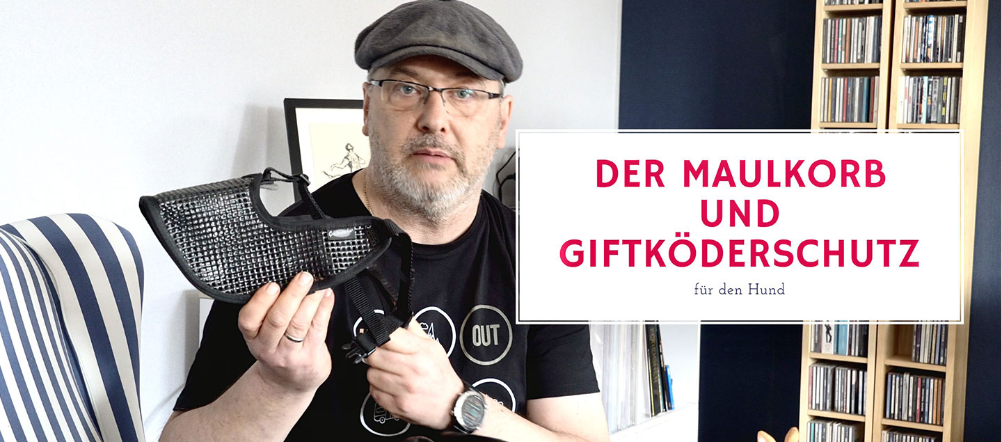 Der Maulkorb und Giftköderschutz für den Hund