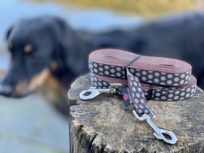 Schleppleine für den Hovawart