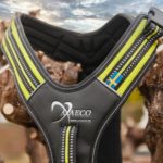 Axaeco Hundegschirr