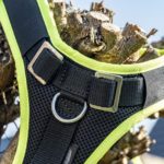 Mitwachsendes Hundegschirr