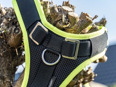 Mitwachsendes Hundegschirr