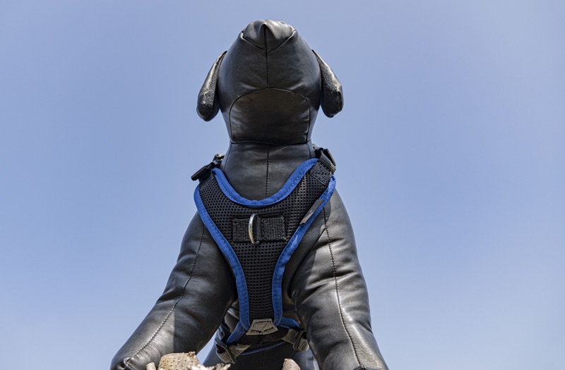 Mitwachendes Welpengeschirr3