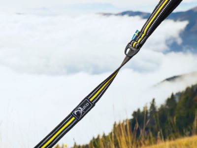 Es ist die perfekte Alltagsleine für dich und deinen Hund