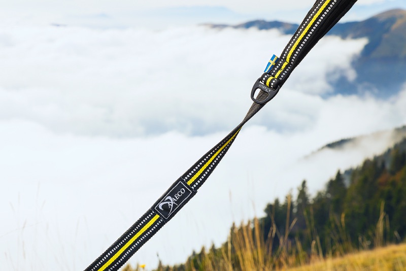 Robuste Hundeleine1 Es ist die perfekte Alltagsleine für dich und deinen Hund