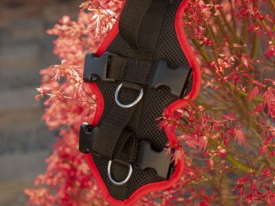 Individuell anpassbares und mitwachsendes Hundesgeschirr, das Vary Support in rot