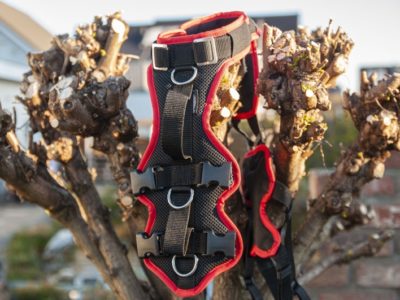 Grossenbacher Vary Support Hundeschirr