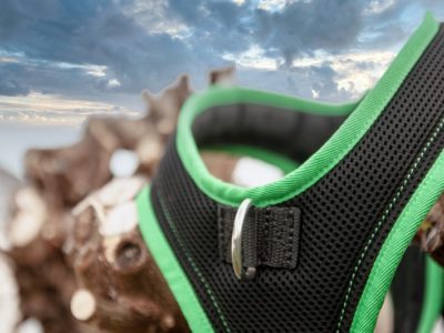 Standard Alltags Hundegeschirr mit Brustring für den Hovawart, Retriver, Schäferhund und Malinois