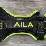 Besticktes Hundegschirr