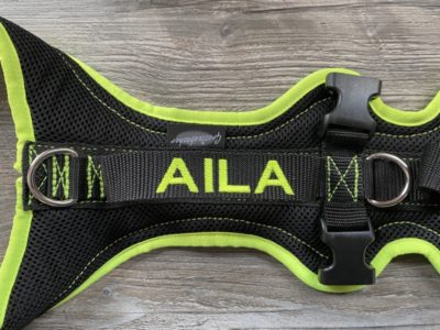 Besticktes Hundegschirr