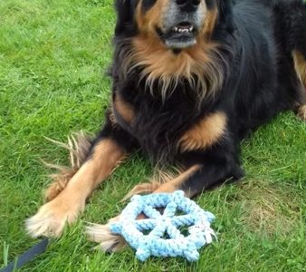 Handgefertigtes vom TÜV zertifiziertes Hundespielzeug Skipper mit einem Hovawart