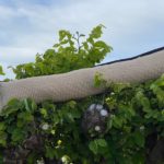 Jute Trainings Dummy