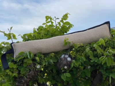 Jute Trainings Dummy