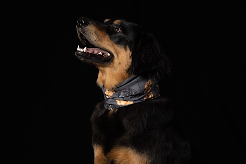 Multifunktionstuch1 Das Erste FairTrade hergestellte HOVI-Multifunktionstuch für Dich und Deinen Hund!