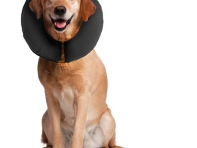 Halskrause für den Hund