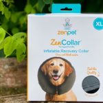 Halskrause für den Hund