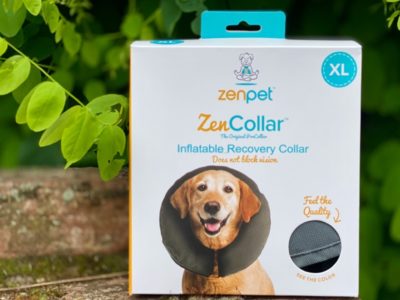 Halskrause für den Hund