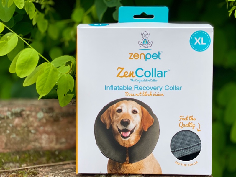 Halskrause Hund2 Halskrause für den Hund