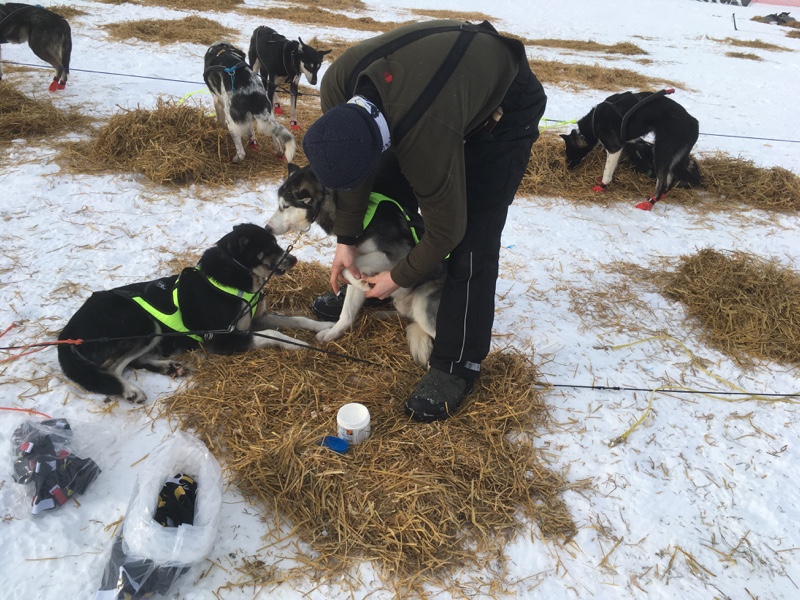 Richter_Pfotenschutz1 Winter Pfotenschutz aus Skandinavien ohme Wasser
