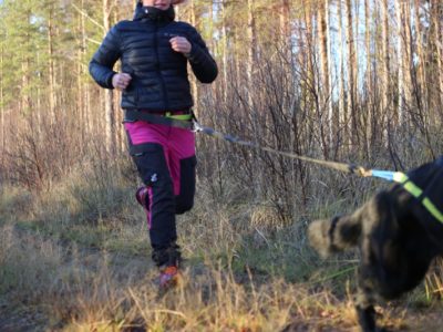 Trecking Gürtel mit 3 M Reflektoren