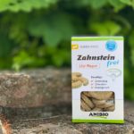 Zahnsteinfrei Keks auf einer Mauer