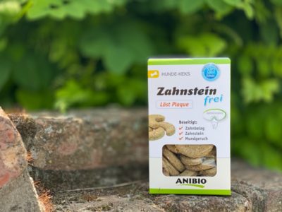 Zahnsteinfrei Keks auf einer Mauer