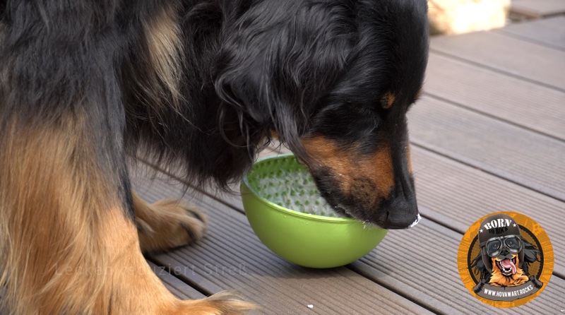 Der Wobble1 Hovawart mit dem Wobble von LickiMat