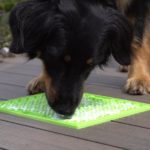 LickiMat mit einem Hund, der Futter davon leckt, dies reduziert Stress