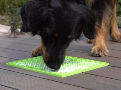 LickiMat mit einem Hund, der Futter davon leckt, dies reduziert Stress