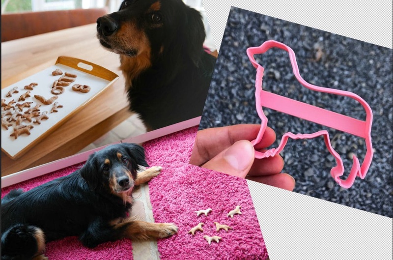 Keksaustecher-hovawart-1