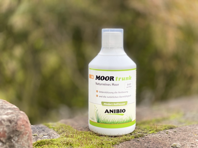 Moortrunk-hund1 Moortrunk