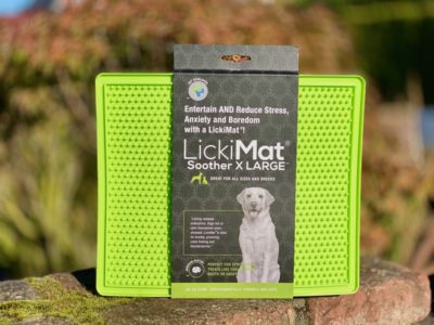 Licki Mat Soother