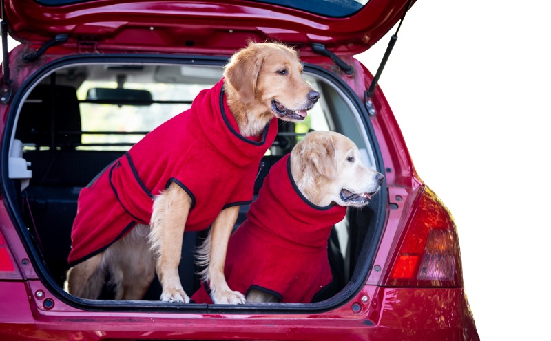 Hundebademantel_chili_pepper1 Bademantel Hovawart