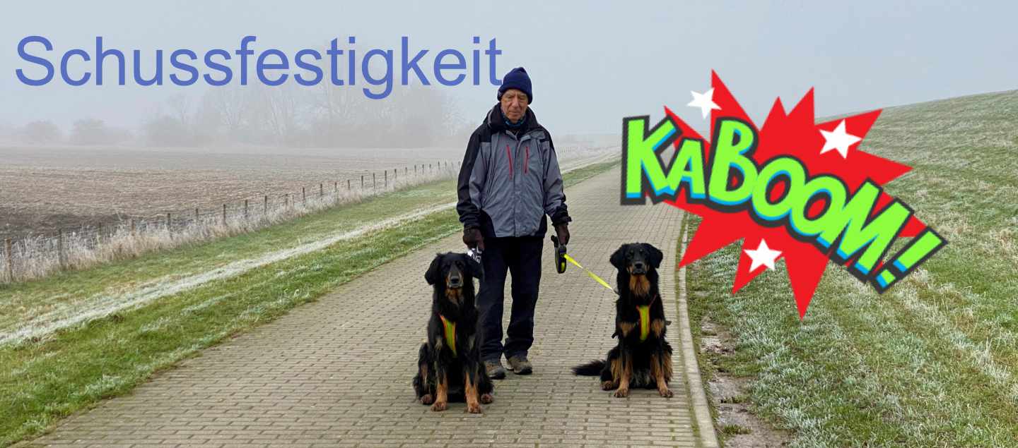 Zwei Hovawarte mit Mensch am Rhein