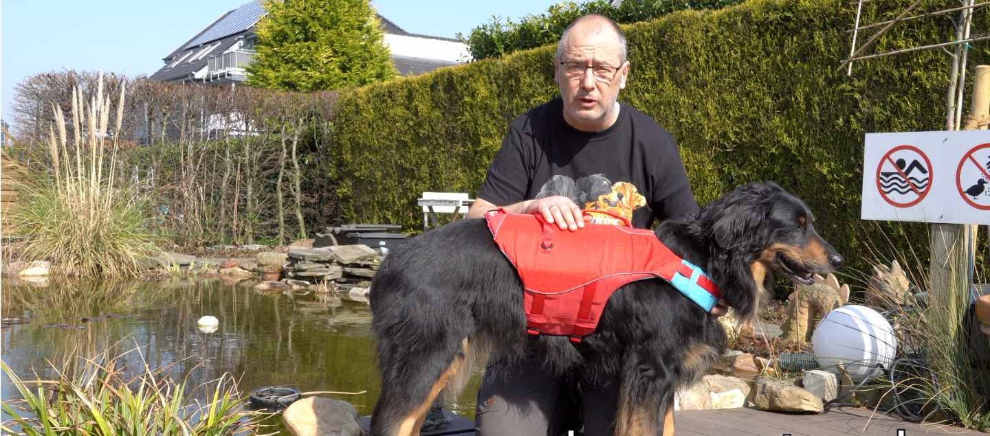 Schwimmweste an einem Hovawart