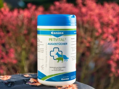 Augentücher für den Hund