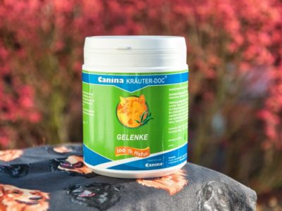 Gesunde Gelenke für den Hund