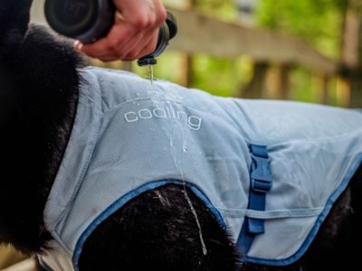 Kuehlweste für grosse Hunde