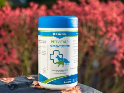 Ohrentücher für den Hund