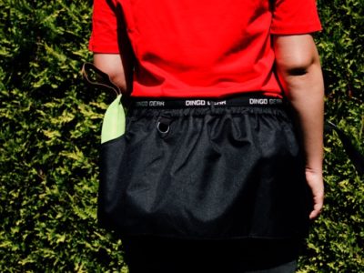 Trainingsgürtel für auf den Hundeplatz