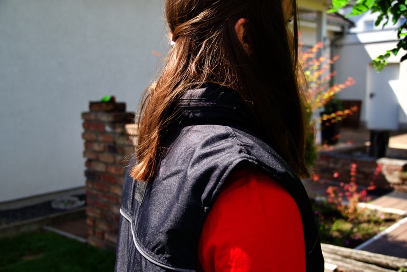 Trainingsweste Hund3