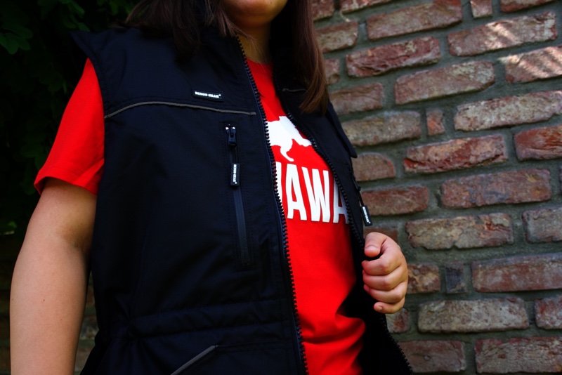 Trainingsweste Hund6