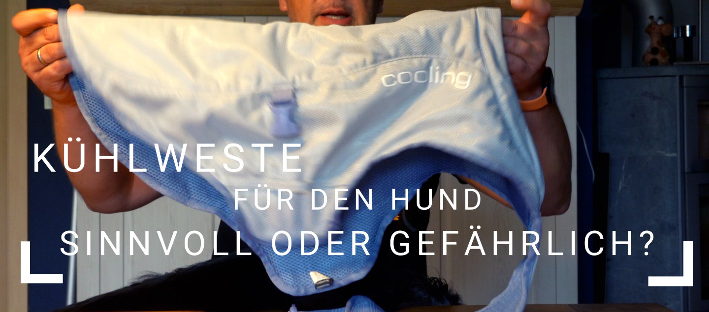 Video Kühlweste für den Hund