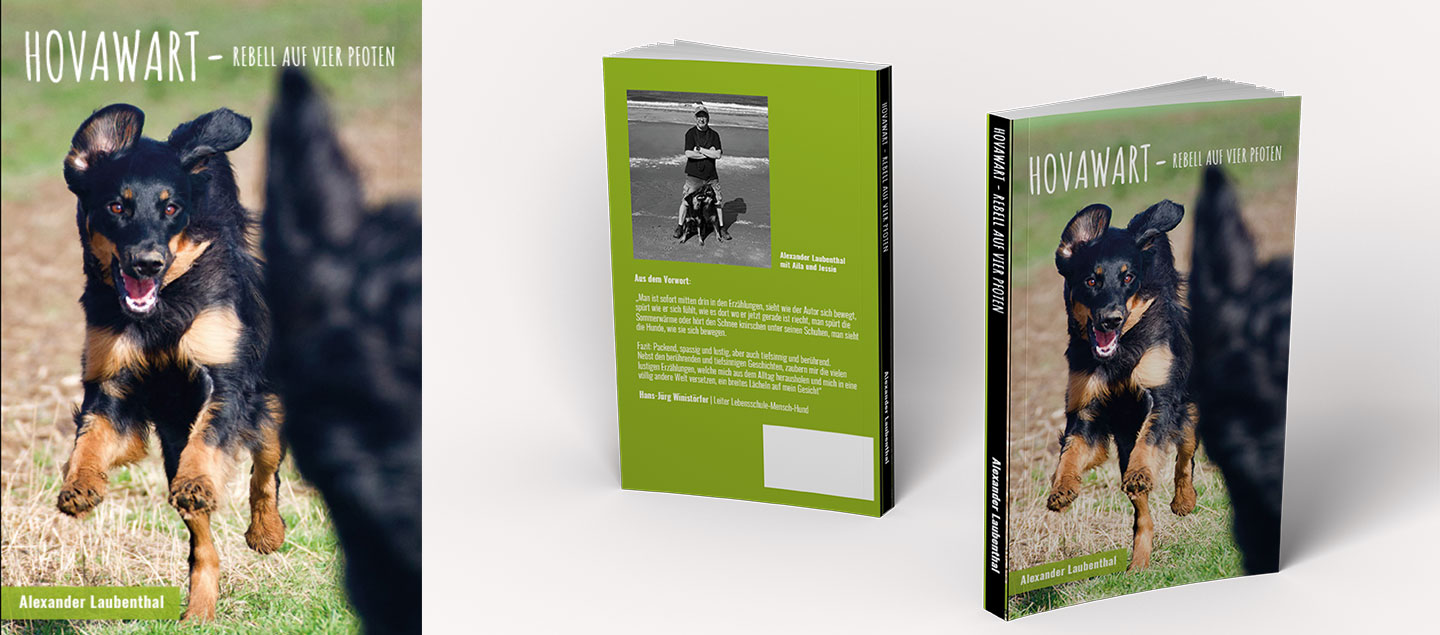 Hovawart - Rebell auf vier Pfoten