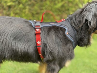 Grossenbacher Geschirr SWISS