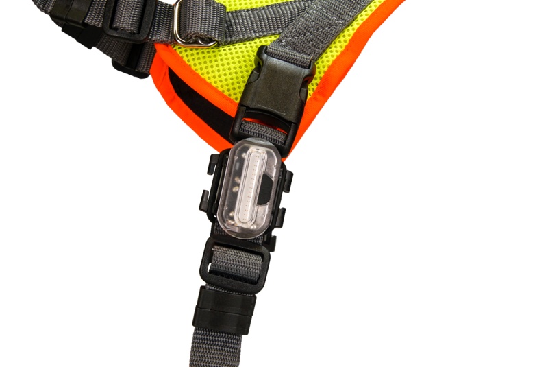 Mantrail V Geschirr Lampe Grossenbacher matrail Geschirr mit LED Lampe