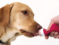 Und mit einer Futtertube belohnen