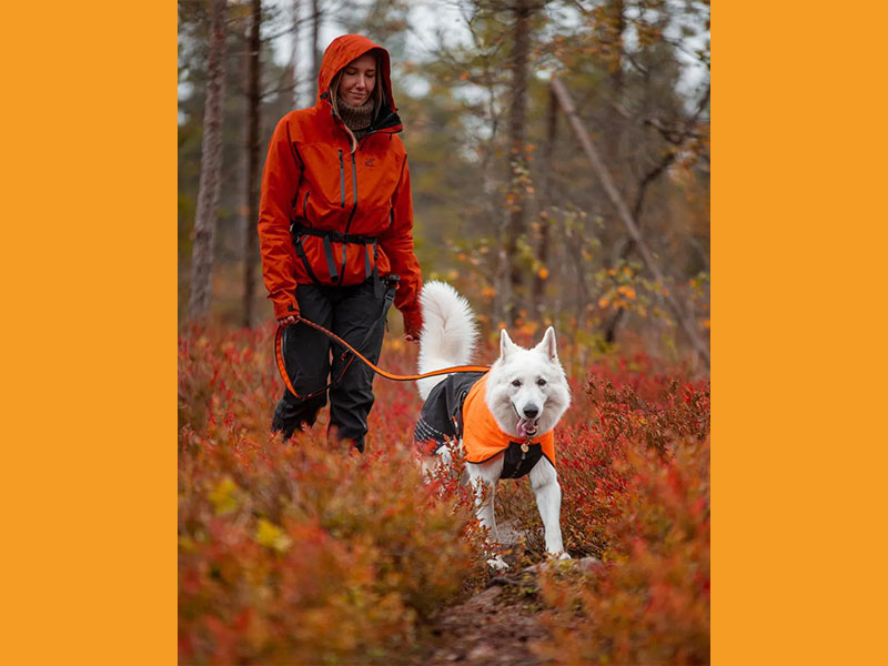 PB_Regenmantel_3_800x600 Regenmantel für große Hunde