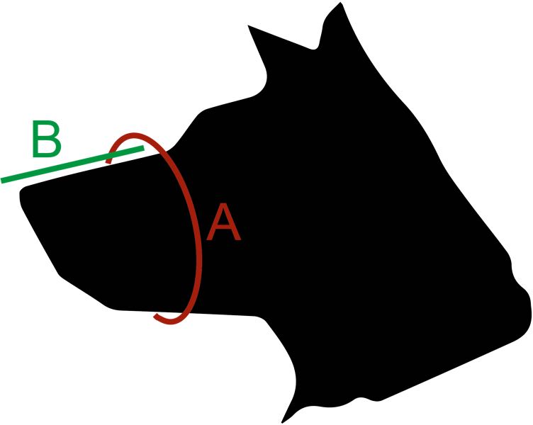 Maulkorb richtig messen